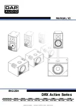 DAPAudio D3634 Manual предпросмотр