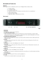 Preview for 6 page of DAPAudio IPS-SM User Manual