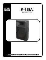 DAPAudio K-115A Product Manual preview