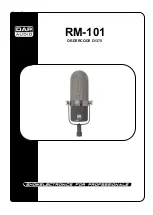 DAPAudio RM-101 User Manual preview