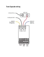 Preview for 4 page of Darkglass Tone Capsule User Manual And Wiring Diagram