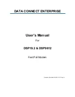 Data Connect DSP19.2 User Manual preview