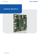 Предварительный просмотр 1 страницы Data Modul eDM-CB-SM-IPCS Reference Manual