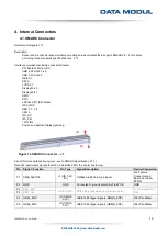 Предварительный просмотр 19 страницы Data Modul eDM-CB-SM-IPCS Reference Manual