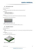 Предварительный просмотр 31 страницы Data Modul eDM-CB-SM-IPCS Reference Manual