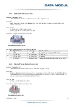 Предварительный просмотр 63 страницы Data Modul eDM-CB-SM-IPCS Reference Manual