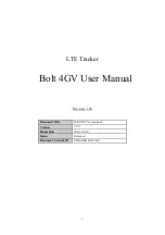 Datablaze Bolt 4GV User Manual preview