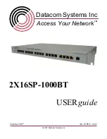 Предварительный просмотр 1 страницы Datacom Systems 2X16SP-1000BT User Manual