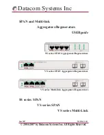 Preview for 1 page of Datacom Systems SS series SPAN User Manual