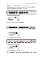 Preview for 28 page of Datacom Systems SS series SPAN User Manual