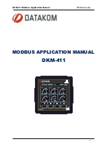 Datakom DKM-411 Applications Manual preview