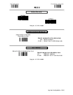 Предварительный просмотр 44 страницы Datalogic DLL6000-R System Manual