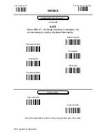 Предварительный просмотр 47 страницы Datalogic DLL6000-R System Manual