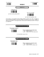 Предварительный просмотр 48 страницы Datalogic DLL6000-R System Manual