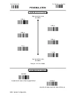 Предварительный просмотр 51 страницы Datalogic DLL6000-R System Manual