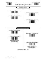 Предварительный просмотр 55 страницы Datalogic DLL6000-R System Manual