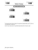 Предварительный просмотр 57 страницы Datalogic DLL6000-R System Manual