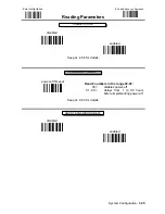 Предварительный просмотр 66 страницы Datalogic DLL6000-R System Manual