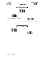 Предварительный просмотр 79 страницы Datalogic DLL6000-R System Manual