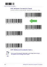 Предварительный просмотр 116 страницы Datalogic DSM0400 Product Reference Manual