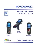 Предварительный просмотр 1 страницы Datalogic Falcon 4420 48-Key Quick Reference