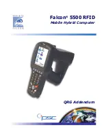 Datalogic Falcon 5500 Addendum preview