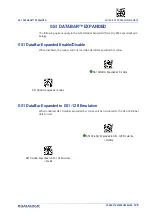 Предварительный просмотр 149 страницы Datalogic Gryphom 4500 Series Product Reference Manual