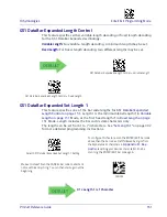 Предварительный просмотр 161 страницы Datalogic Gryphon 2D Series Product Reference Manual