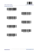 Preview for 79 page of Datalogic Gryphon GBT4200 Product Reference Manual