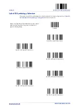 Preview for 99 page of Datalogic Gryphon GBT4200 Product Reference Manual