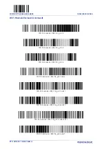 Preview for 224 page of Datalogic Gryphon GBT4200 Product Reference Manual