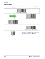 Preview for 142 page of Datalogic Gryphon GD4100 Reference Manual