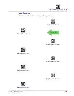 Preview for 235 page of Datalogic Gryphon I GD44XX Product Reference Manual