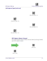 Preview for 47 page of Datalogic Gryphon I GPS4400 Product Reference Manual