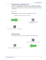 Preview for 51 page of Datalogic Gryphon I GPS4400 Product Reference Manual