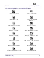 Preview for 61 page of Datalogic Gryphon I GPS4400 Product Reference Manual