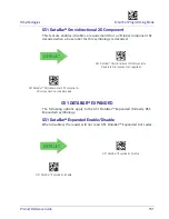 Preview for 161 page of Datalogic Gryphon I GPS4400 Product Reference Manual