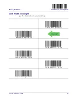 Preview for 85 page of Datalogic Heron HD3130 Product Reference Manual