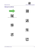 Preview for 49 page of Datalogic Heron HD3430 Product Reference Manual