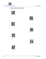 Preview for 64 page of Datalogic Heron HD3430 Product Reference Manual