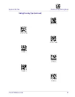 Preview for 65 page of Datalogic Heron HD3430 Product Reference Manual