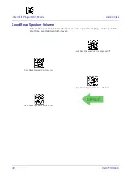 Preview for 106 page of Datalogic Heron HD3430 Product Reference Manual