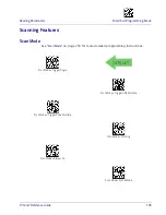 Preview for 117 page of Datalogic Heron HD3430 Product Reference Manual