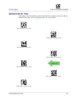 Preview for 137 page of Datalogic Heron HD3430 Product Reference Manual