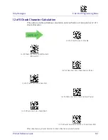 Preview for 161 page of Datalogic Heron HD3430 Product Reference Manual