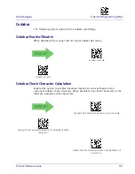 Preview for 171 page of Datalogic Heron HD3430 Product Reference Manual