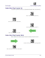 Preview for 173 page of Datalogic Heron HD3430 Product Reference Manual