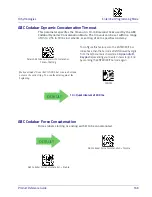 Preview for 179 page of Datalogic Heron HD3430 Product Reference Manual