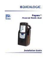 Preview for 1 page of Datalogic Pegaso Installation Manual