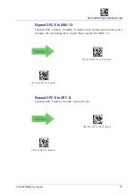 Предварительный просмотр 101 страницы Datalogic PowerScan 9501-AR Series Product Reference Manual